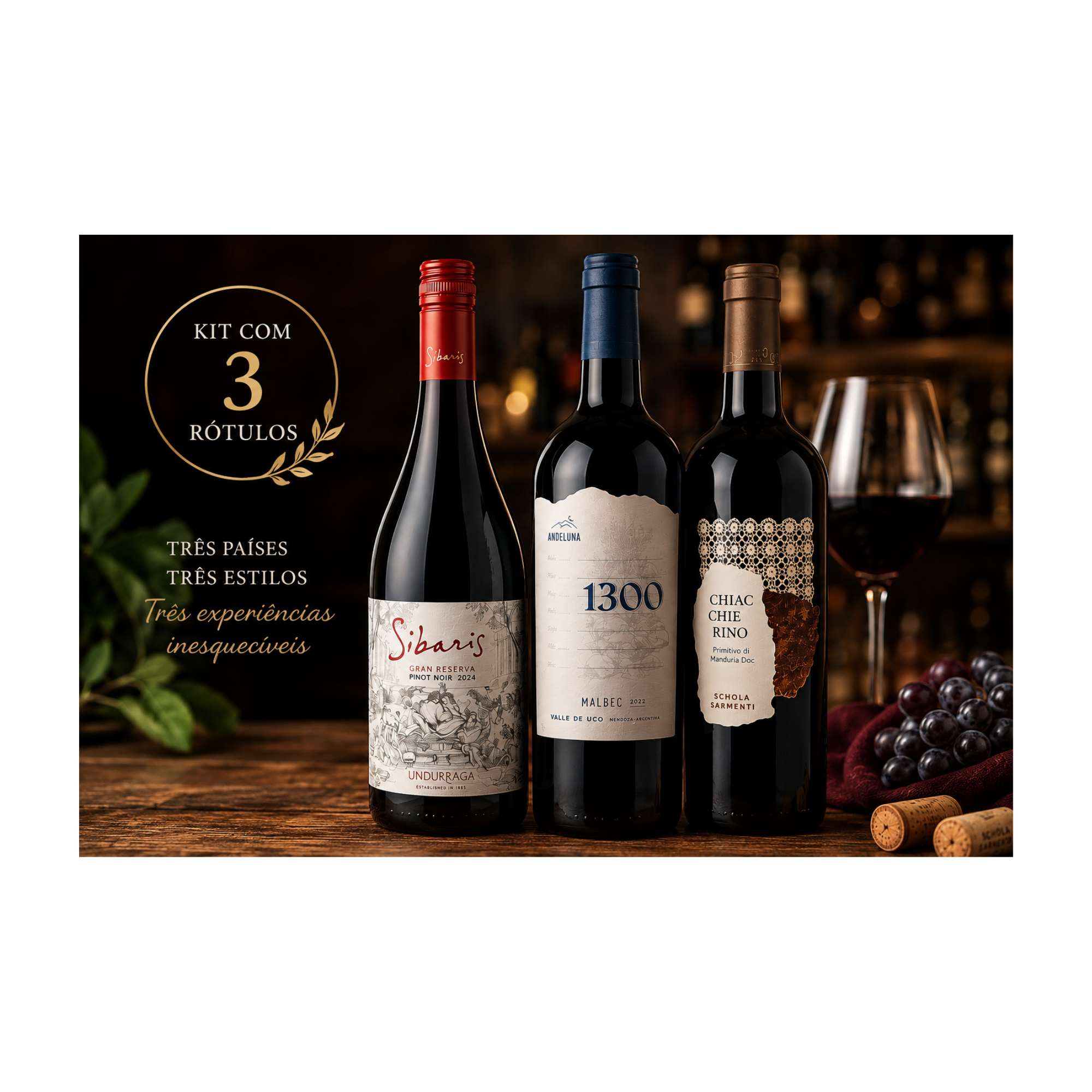Seleção da Quinzena de Agosto – Kit com 3 Vinhos